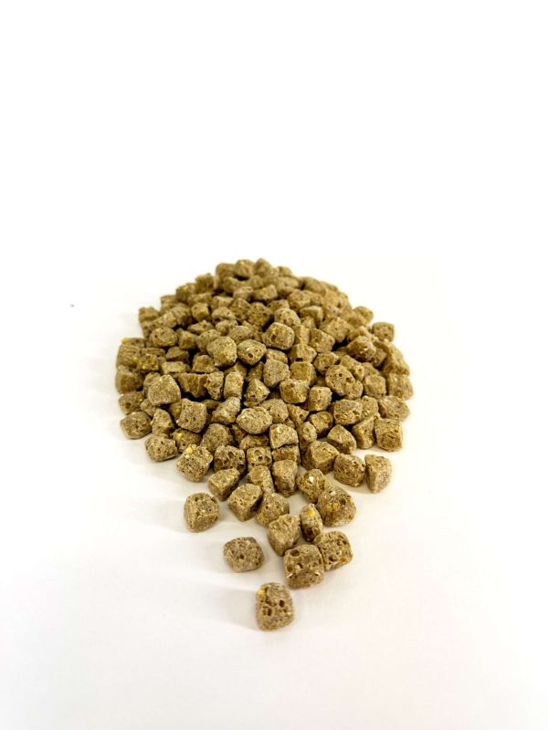 Adult-Lifetime-Coarse-Bird-Food