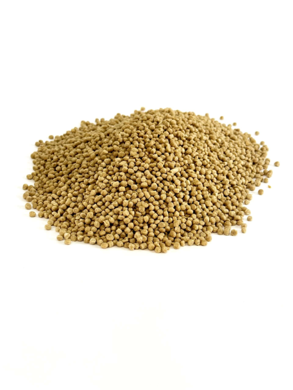 Adult-Lifetime-Fine-organic-bird-food