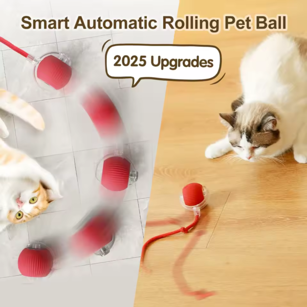 Auto-Rolling-Cat-Ball