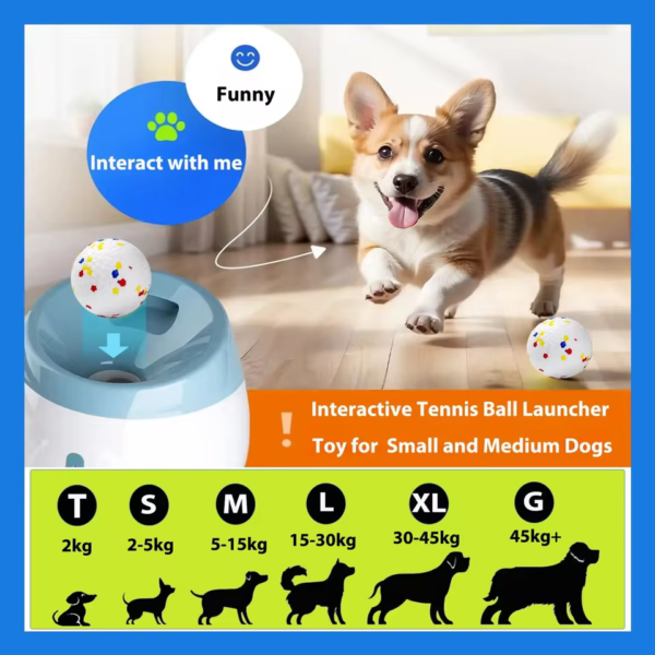 Automatic-Ball-Launcher-Dogs