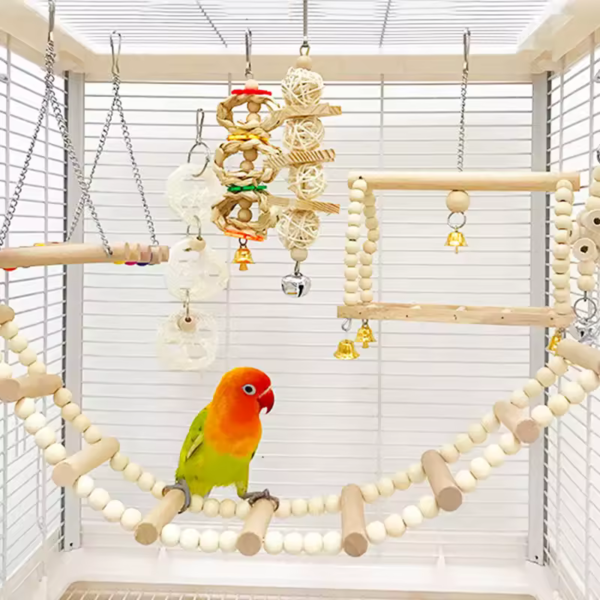 Bird-Cage-Setup