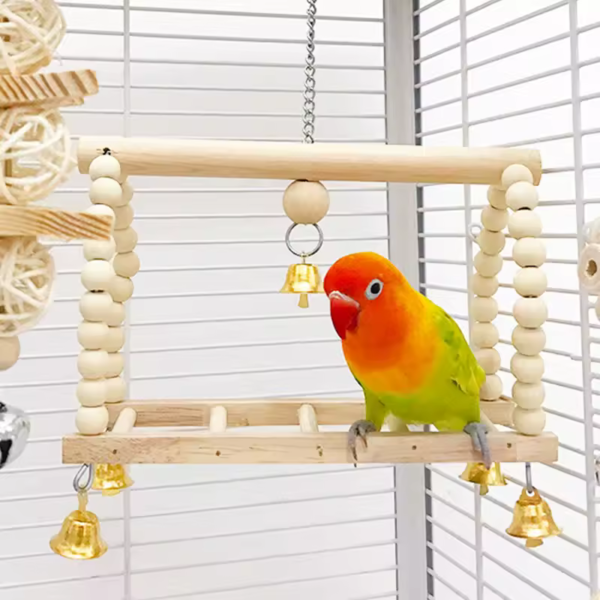 Bird-Cage-Setup
