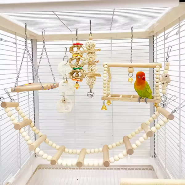 Bird-Cage-Setup