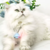 Cat-Laser-Collar