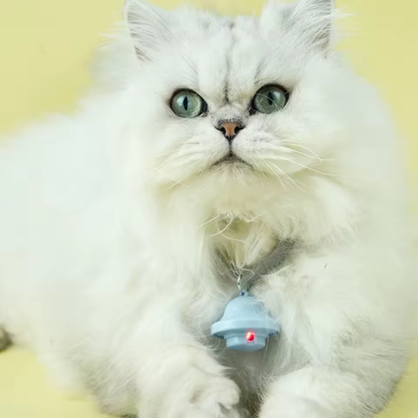 Cat-Laser-Collar