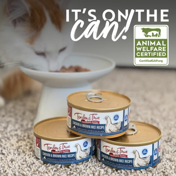 Chicken and rice cat food 5