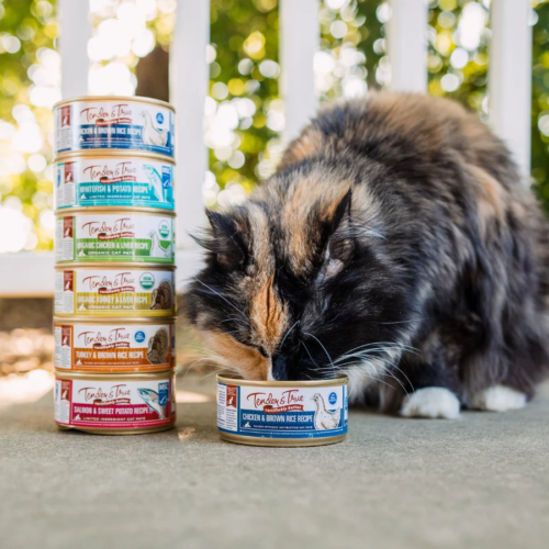 Premium Cat Food - Chicken & Brown Rice 24x Cans