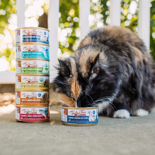 Premium Cat Food - Chicken & Brown Rice 24x Cans