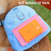 Dog-BackPack-Harness