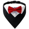 Dog-Tux-Collar
