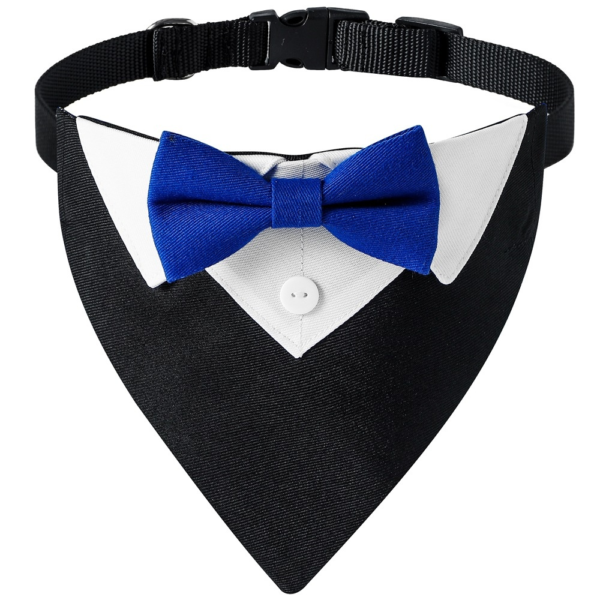 Dog-Tux-Collar