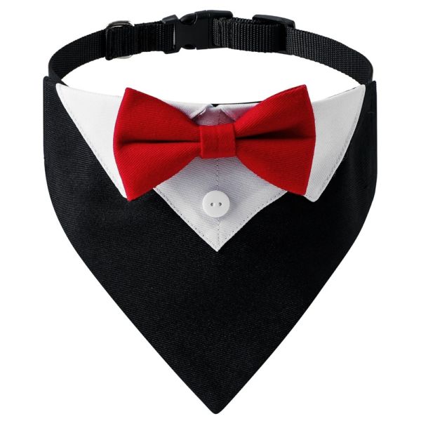 Dog-Tux-Collar