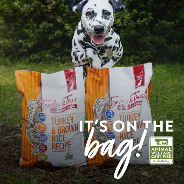 Organic Dry Dog Food - Turkey and Liver