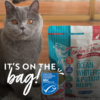 Dry Cat Food4