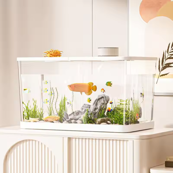 Large-Fish-Tank