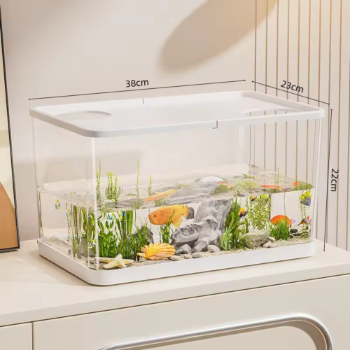 Large-Fish-Tank