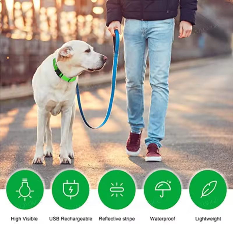 Light Up LED Dog Collar