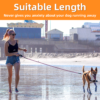 Nylon-Leash-for-dogs-4