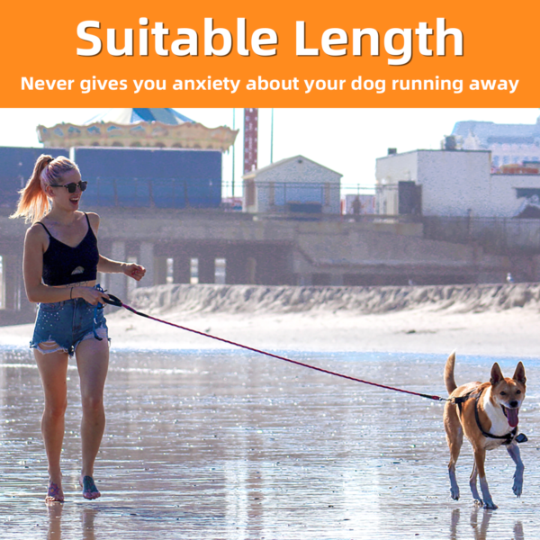 Nylon-Leash-for-dogs-4