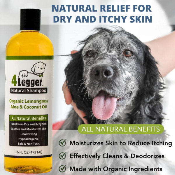 Organic-Dog-Shampoo