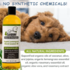 Organic-Dog-Shampoo