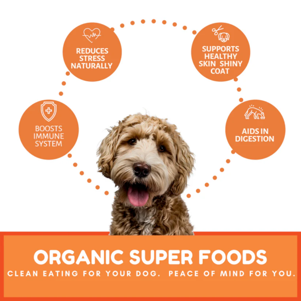Organic Dog Treats