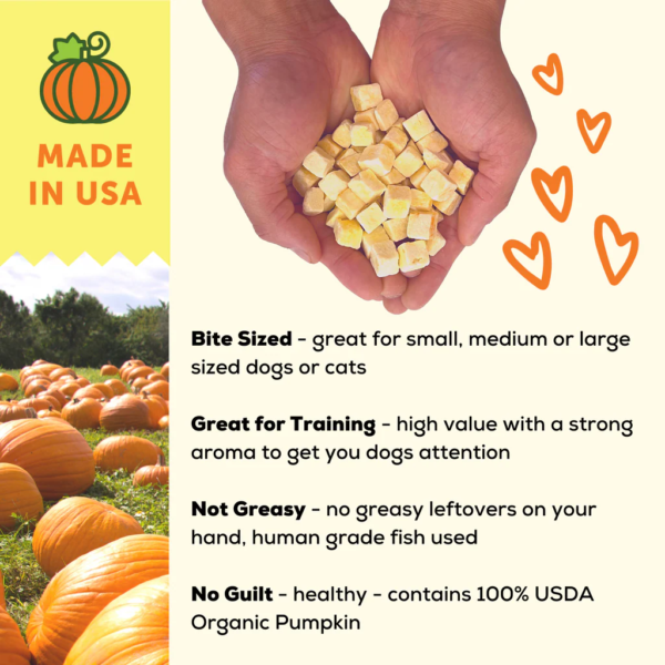 Organic-Pumpkin-Treats