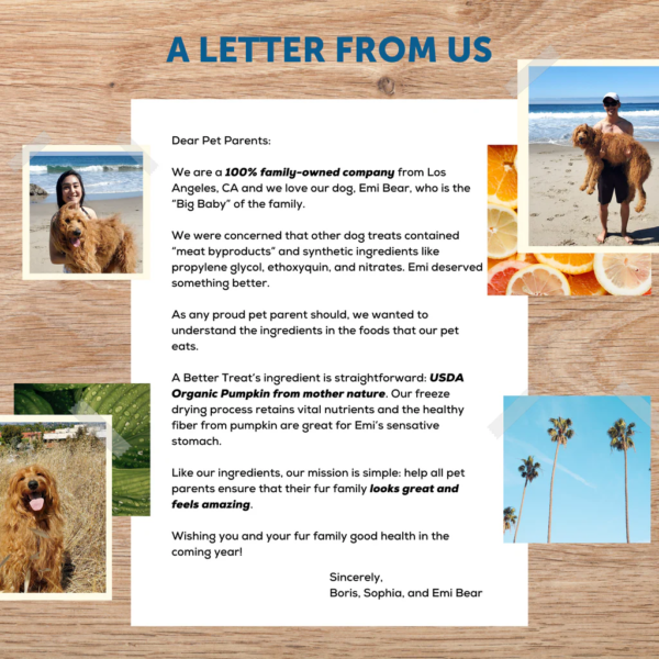 Organic-Pumpkin-Treats