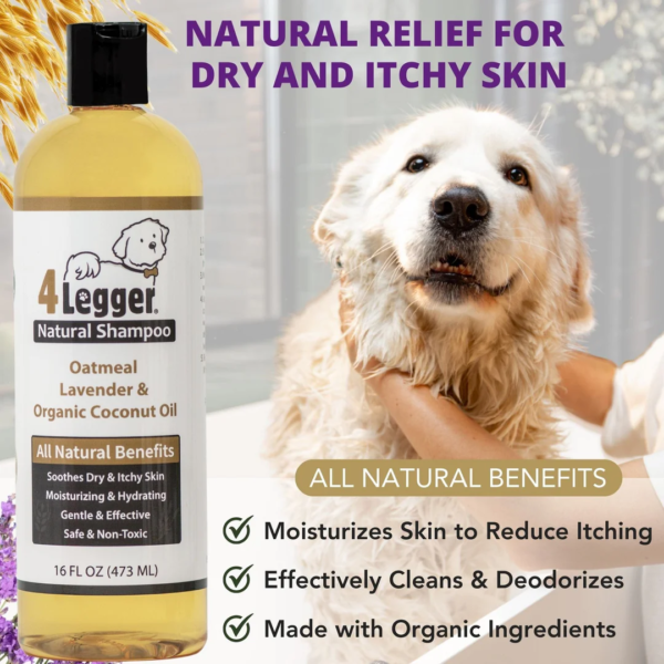 Organic-dog-shampoo