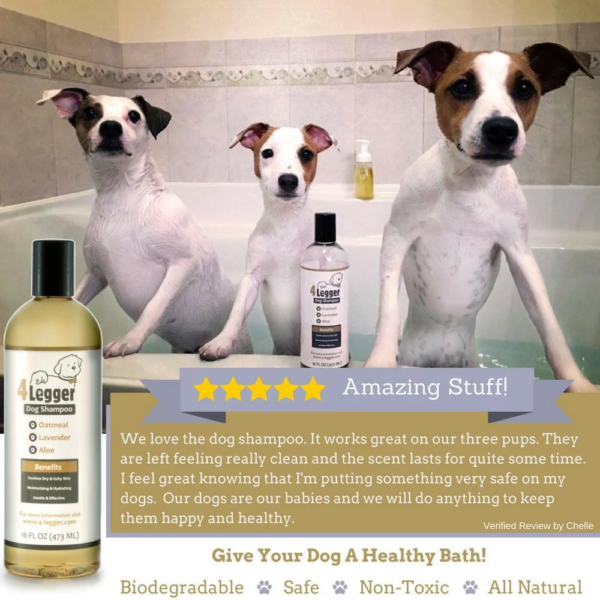 Organic-dog-shampoo