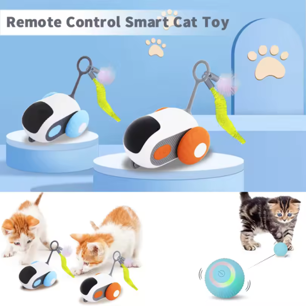 Remote-Control-Cat-Toy