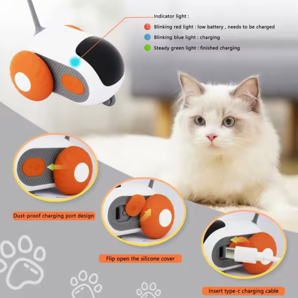 Remote-Control-Cat-Toy