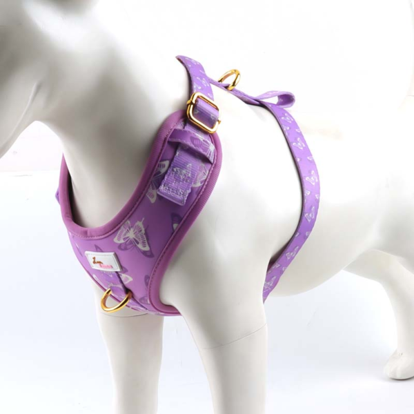 Small-dog-harness-5