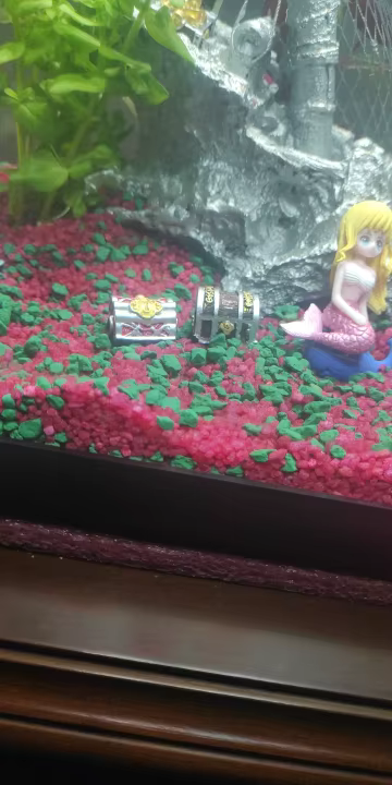 Treasure-chest-for-fish-tank