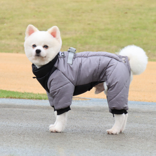 Water-Proof-Winter-Coat-for-dogs