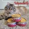 Wet Cat Food4