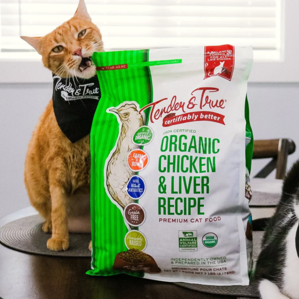 cat food organic5