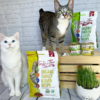 cat food organic6