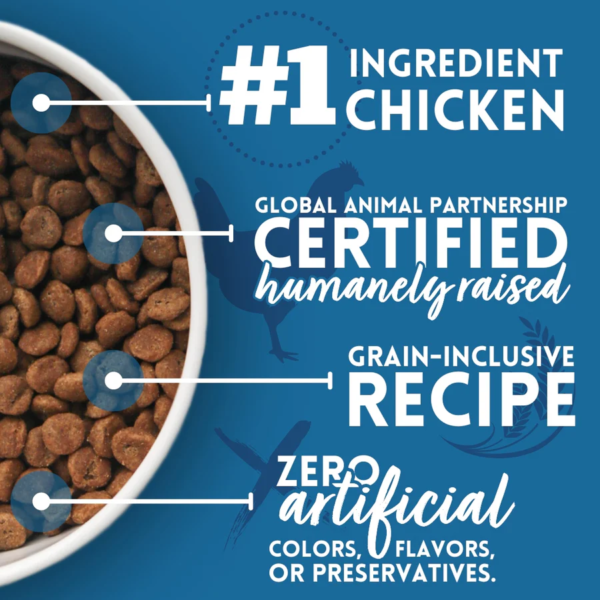 chicken brown rice dog food2