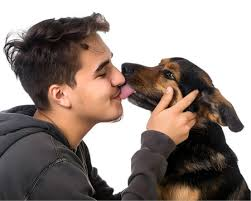 dog Licking