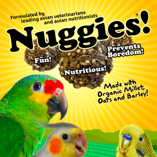 Organic Bird Treats - Nuggies