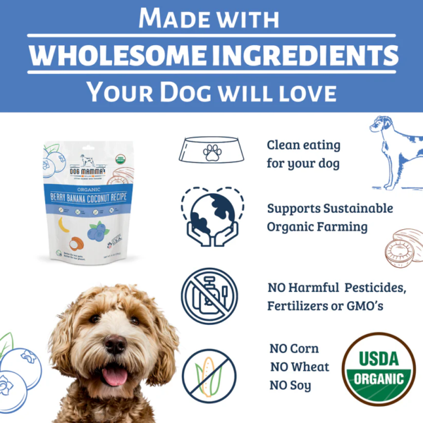 organic-blue-berry-treat-dogs