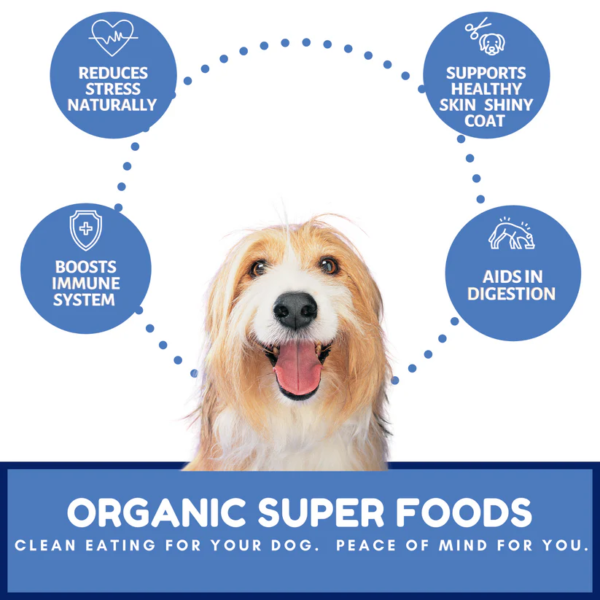 organic-blue-berry-treat-dogs
