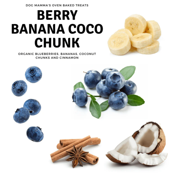 organic-blue-berry-treat-dogs