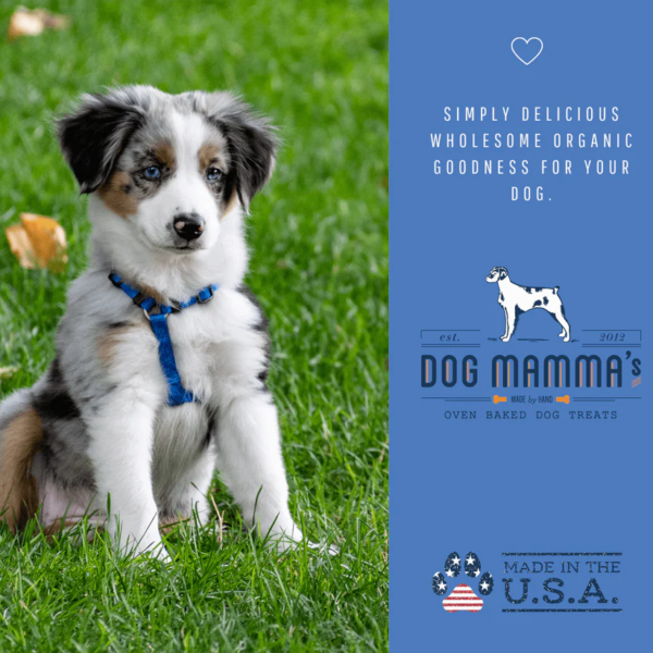 organic-blue-berry-treat-dogs