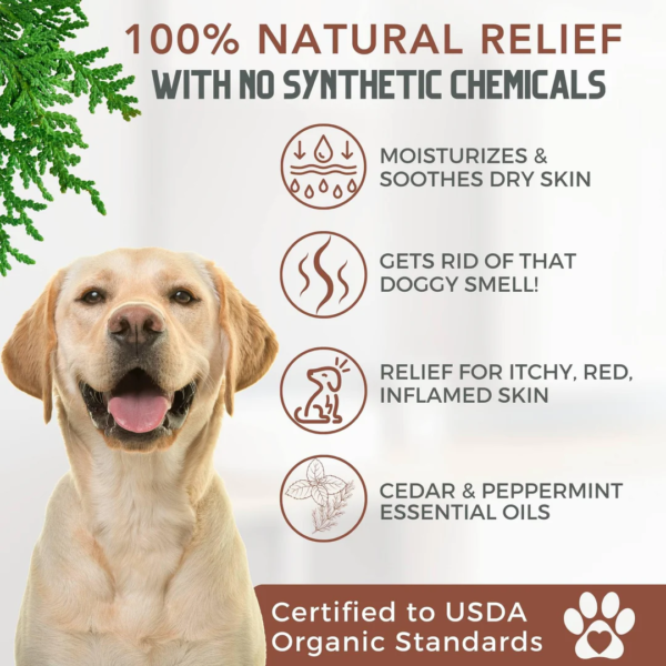 organic-dog-conditioner