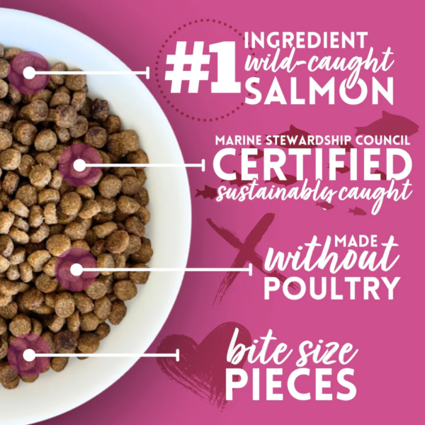 Small Dog Food - Salmon Recipe Premium