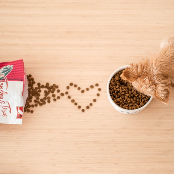 Small Dog Food - Salmon Recipe Premium