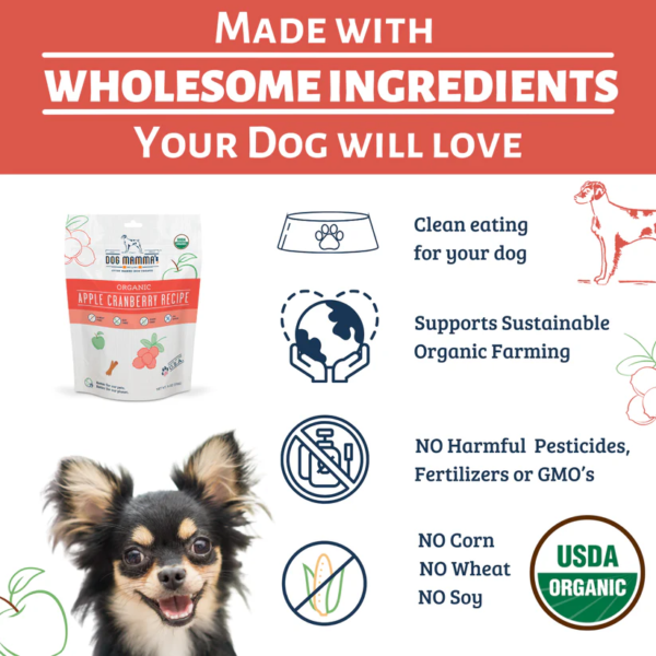 organic-dog-treats
