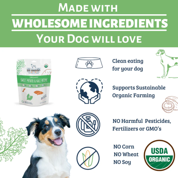 organic-dog-treats